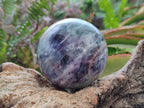 Polished Watermelon Fluorite Spheres x 3 From Uis, Namibia - Toprock Gemstones and Minerals 