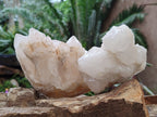 Natural Cascading "Anananas" Candle Quartz Clusters x 3 From Antsirabe, Madagascar - Toprock Gemstones and Minerals 