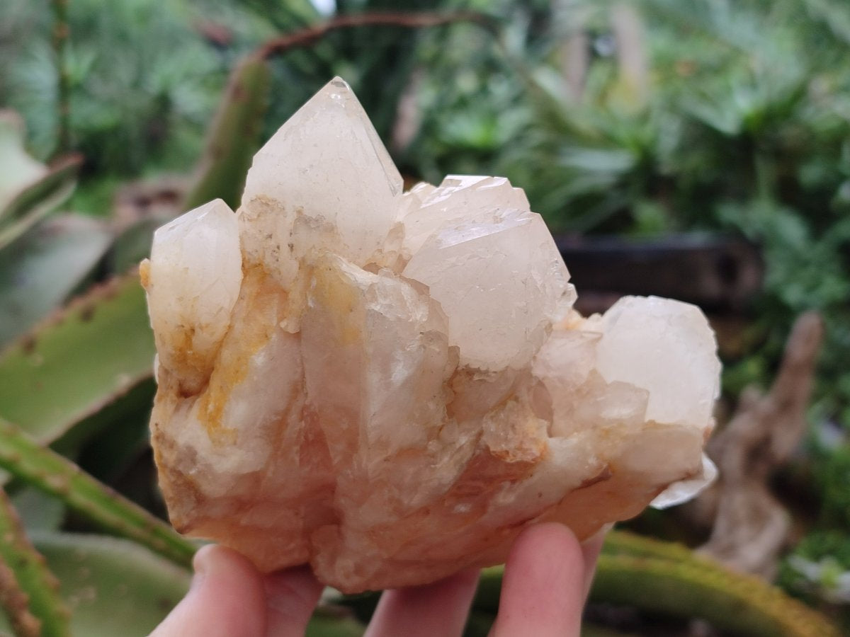 Natural Cascading "Anananas" Candle Quartz Clusters x 3 From Antsirabe, Madagascar - Toprock Gemstones and Minerals 