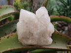 Natural Cascading "Anananas" Candle Quartz Clusters x 3 From Antsirabe, Madagascar - Toprock Gemstones and Minerals 