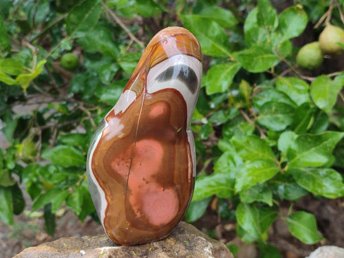Polished Polychrome Jasper Standing Display Pieces x 3 From NW Coast, Madagascar - Toprock Gemstones and Minerals 