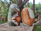 Polished Polychrome Jasper Standing Display Pieces x 3 From NW Coast, Madagascar - Toprock Gemstones and Minerals 