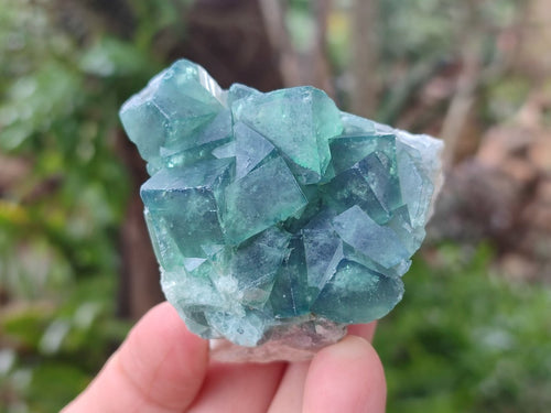 Natural Green Cubic Fluorite Specimens x 12 From Mandrosonoro, Madagascar - Toprock Gemstones and Minerals 