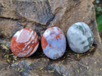Polished Rare Ocean Jasper Galets x 24 From Northwest Coast, Madagascar - Toprock Gemstones and Minerals 
