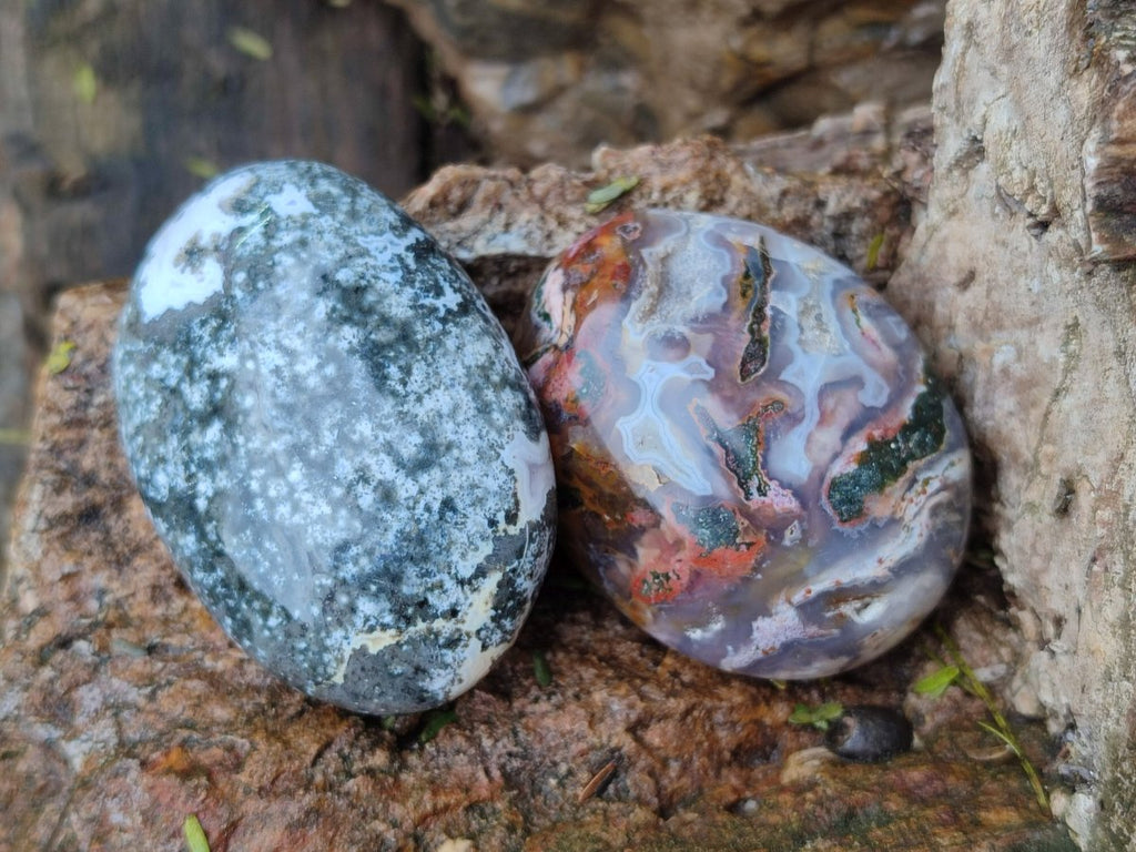 Polished Rare Ocean Jasper Galets x 24 From Northwest Coast, Madagascar - Toprock Gemstones and Minerals 