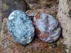 Polished Rare Ocean Jasper Galets x 24 From Northwest Coast, Madagascar - Toprock Gemstones and Minerals 