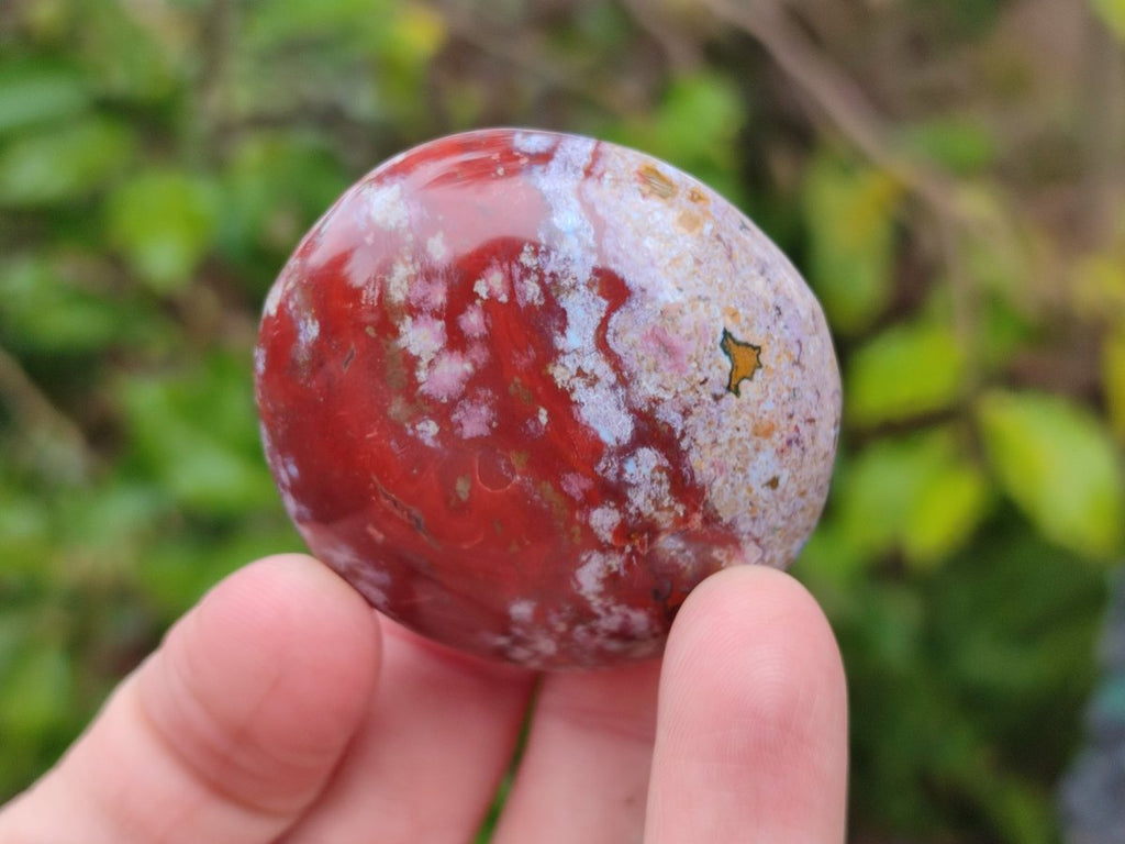 Polished Rare Ocean Jasper Galets x 24 From Northwest Coast, Madagascar - Toprock Gemstones and Minerals 