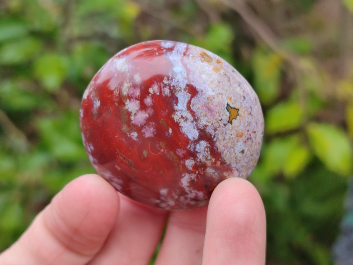 Polished Rare Ocean Jasper Galets x 24 From Northwest Coast, Madagascar - Toprock Gemstones and Minerals 