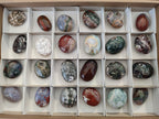 Polished Rare Ocean Jasper Galets x 24 From Northwest Coast, Madagascar - Toprock Gemstones and Minerals 