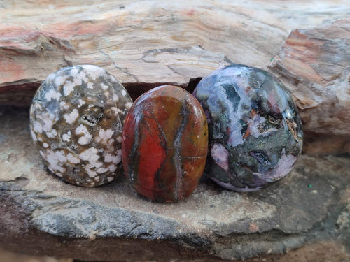 Polished Rare Ocean Jasper Galets x 24 From Northwest Coast, Madagascar - Toprock Gemstones and Minerals 