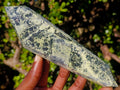 Polished Double Terminated Leopard Stone Crystals x 3 From Zimbabwe - Toprock Gemstones and Minerals 