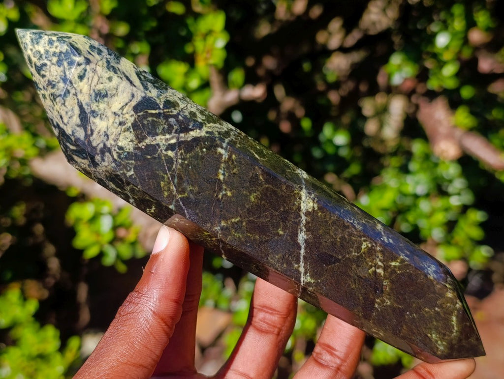 Polished Double Terminated Leopard Stone Crystals x 3 From Zimbabwe - Toprock Gemstones and Minerals 