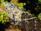 Polished Double Terminated Leopard Stone Crystals x 3 From Zimbabwe - Toprock Gemstones and Minerals 