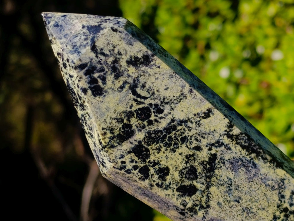 Polished Double Terminated Leopard Stone Crystals x 3 From Zimbabwe - Toprock Gemstones and Minerals 