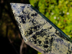 Polished Double Terminated Leopard Stone Crystals x 3 From Zimbabwe - Toprock Gemstones and Minerals 