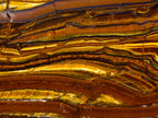 Polished Golden Tigers Eye Standing Display Pieces x 2 From Prieska, South Africa - Toprock Gemstones and Minerals 
