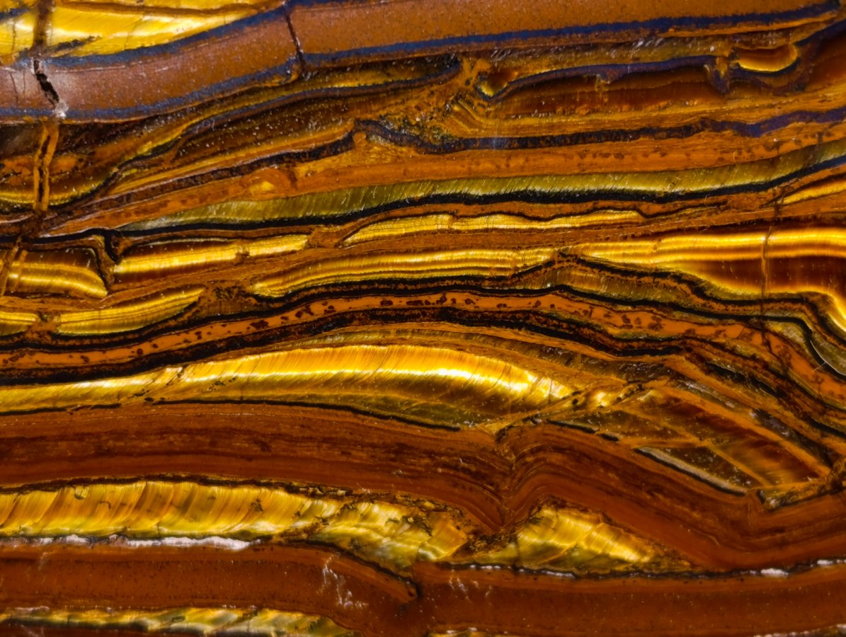 Polished Golden Tigers Eye Standing Display Pieces x 2 From Prieska, South Africa - Toprock Gemstones and Minerals 