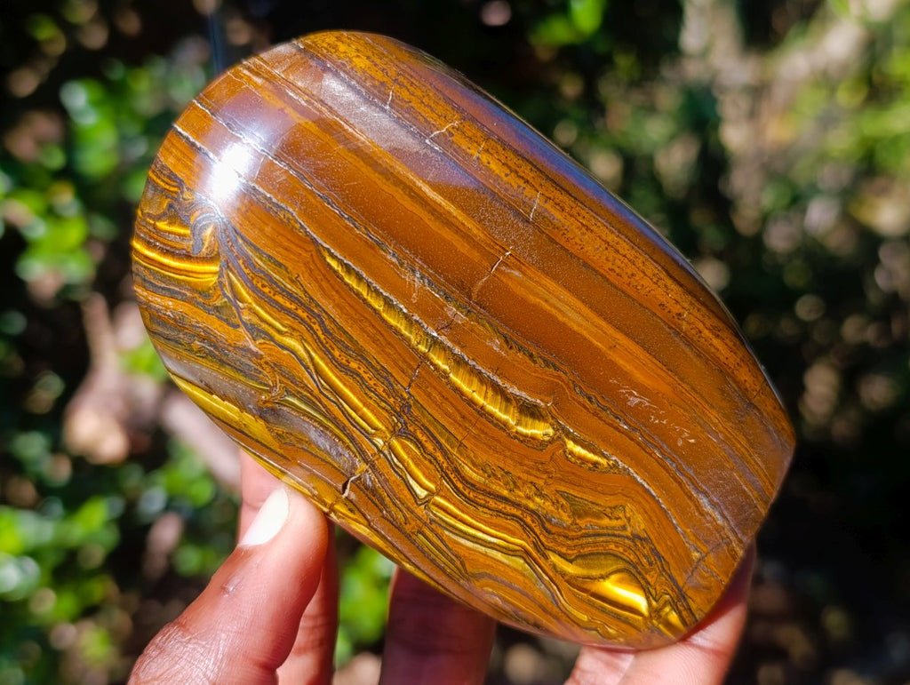 Polished Golden Tigers Eye Standing Display Pieces x 2 From Prieska, South Africa - Toprock Gemstones and Minerals 