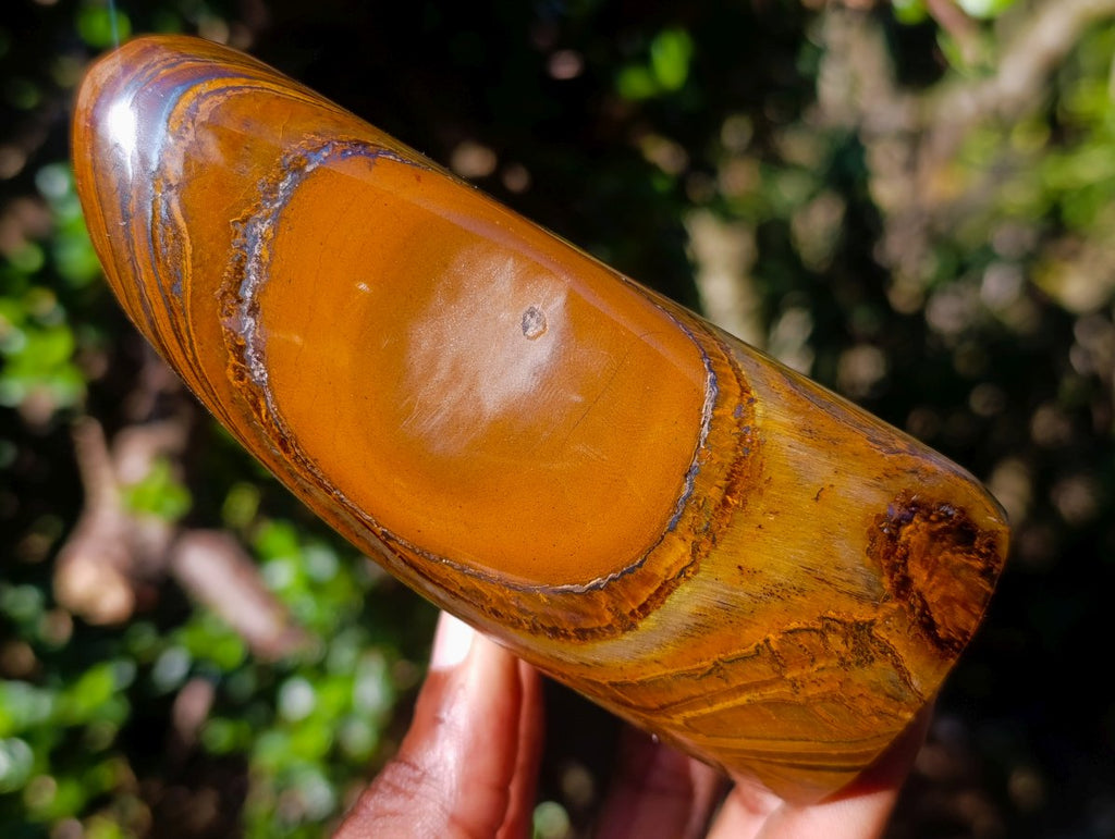 Polished Golden Tigers Eye Standing Display Pieces x 2 From Prieska, South Africa - Toprock Gemstones and Minerals 