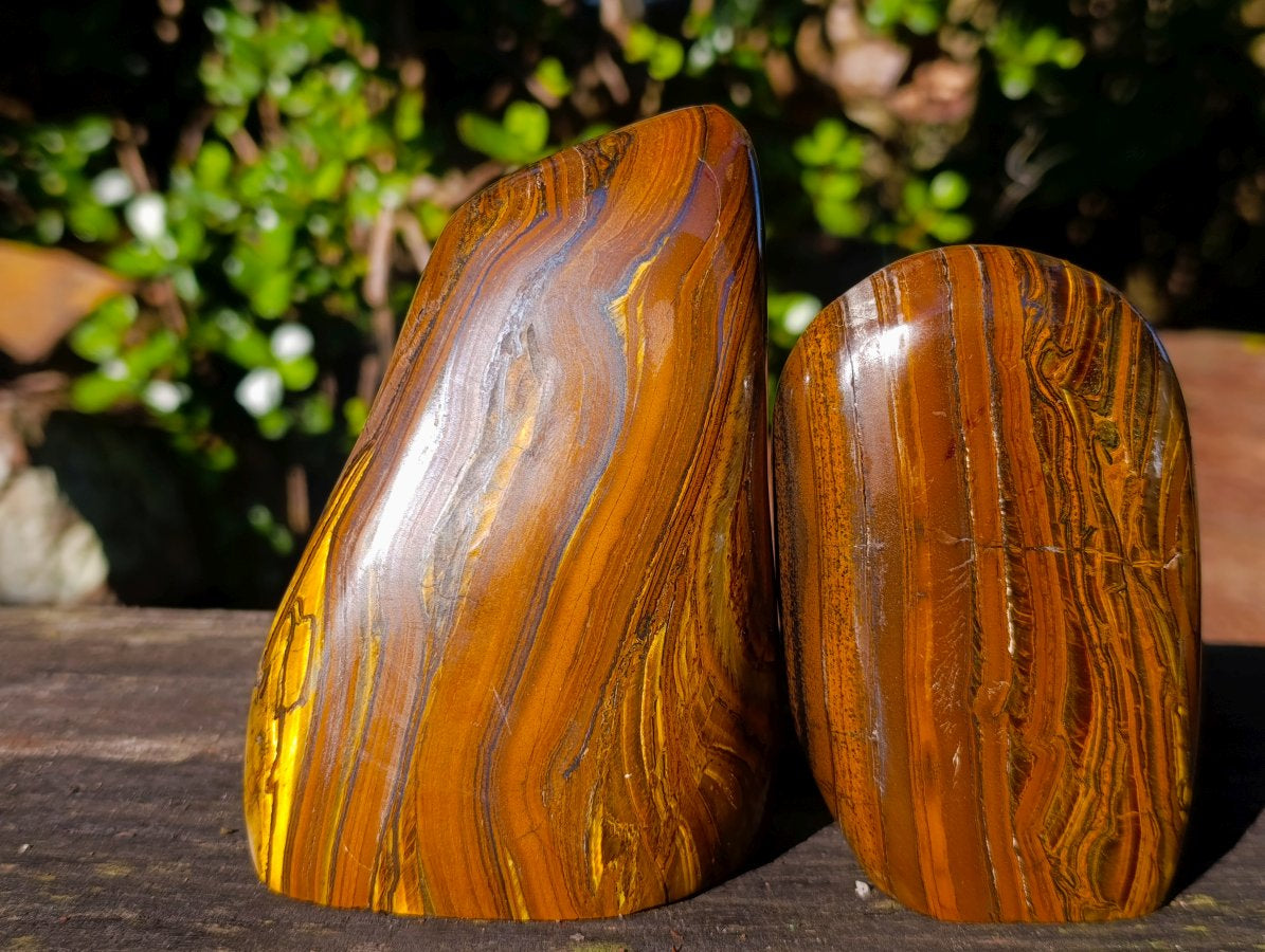 Polished Golden Tigers Eye Standing Display Pieces x 2 From Prieska, South Africa - Toprock Gemstones and Minerals 