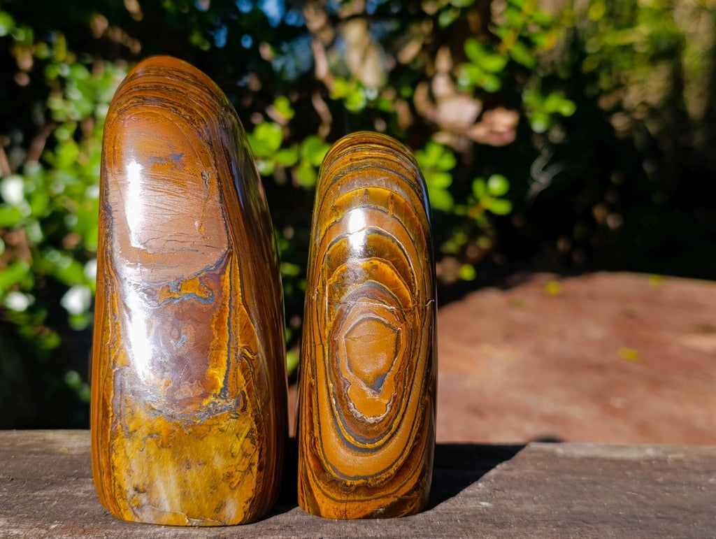 Polished Golden Tigers Eye Standing Display Pieces x 2 From Prieska, South Africa - Toprock Gemstones and Minerals 