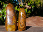 Polished Golden Tigers Eye Standing Display Pieces x 2 From Prieska, South Africa - Toprock Gemstones and Minerals 