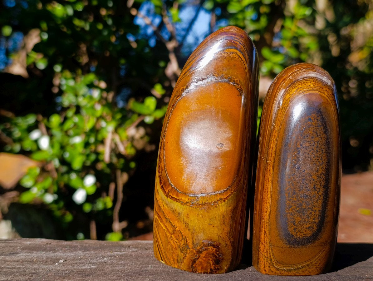 Polished Golden Tigers Eye Standing Display Pieces x 2 From Prieska, South Africa - Toprock Gemstones and Minerals 