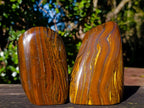 Polished Golden Tigers Eye Standing Display Pieces x 2 From Prieska, South Africa - Toprock Gemstones and Minerals 