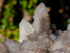 Natural Cabinet Sized Smokey Spirit Quartz Clusters x 2 From Boekenhouthoek, South Africa - Toprock Gemstones and Minerals 