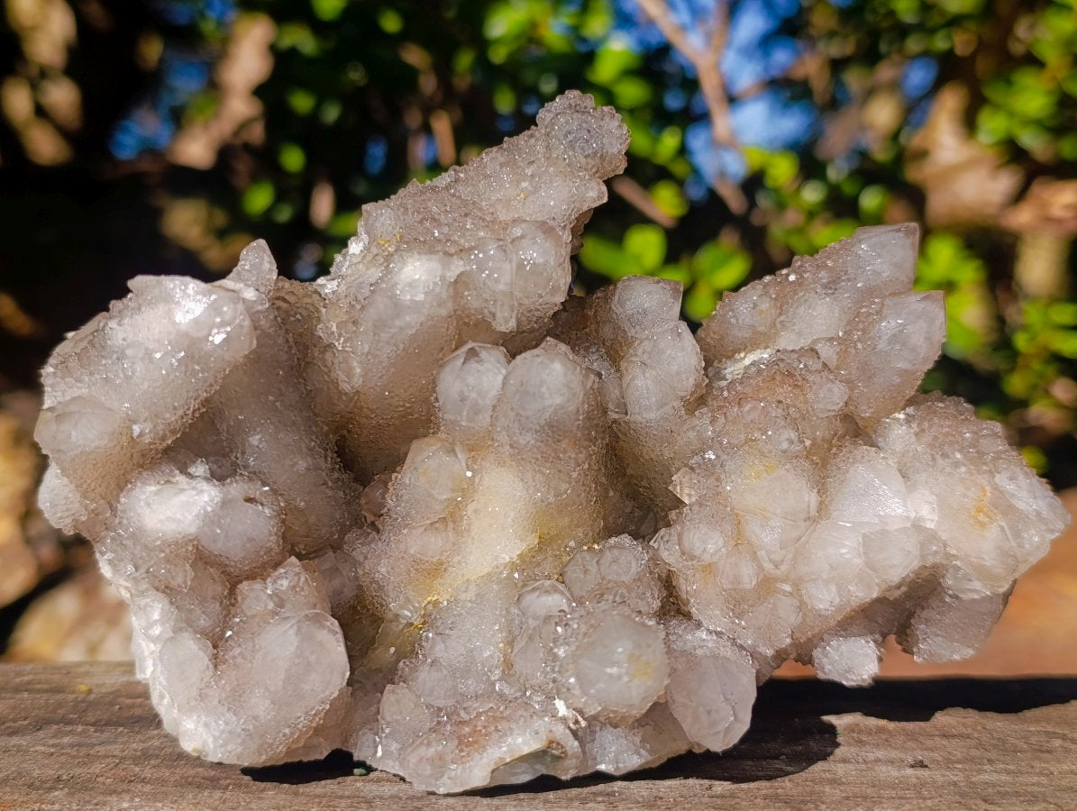 Natural Cabinet Sized Smokey Spirit Quartz Clusters x 2 From Boekenhouthoek, South Africa - Toprock Gemstones and Minerals 