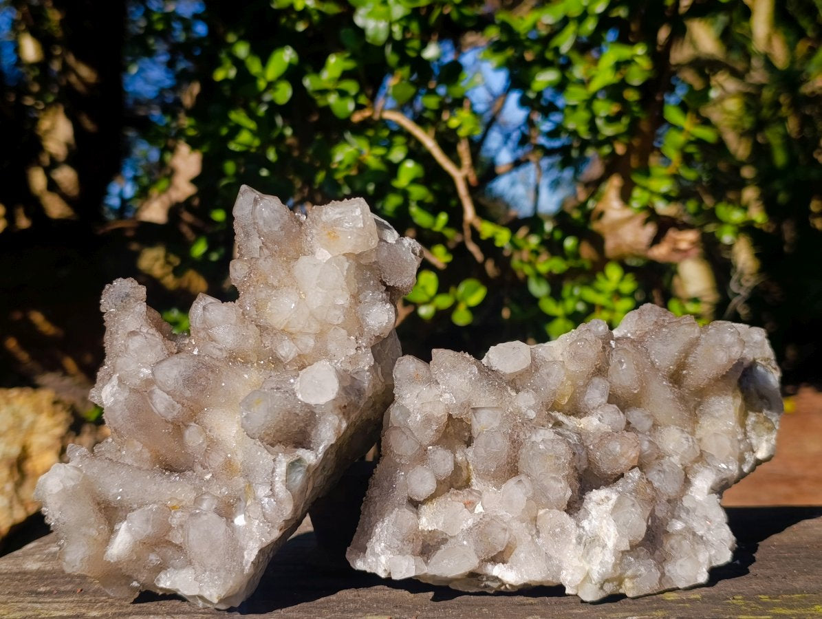 Natural Cabinet Sized Smokey Spirit Quartz Clusters x 2 From Boekenhouthoek, South Africa - Toprock Gemstones and Minerals 