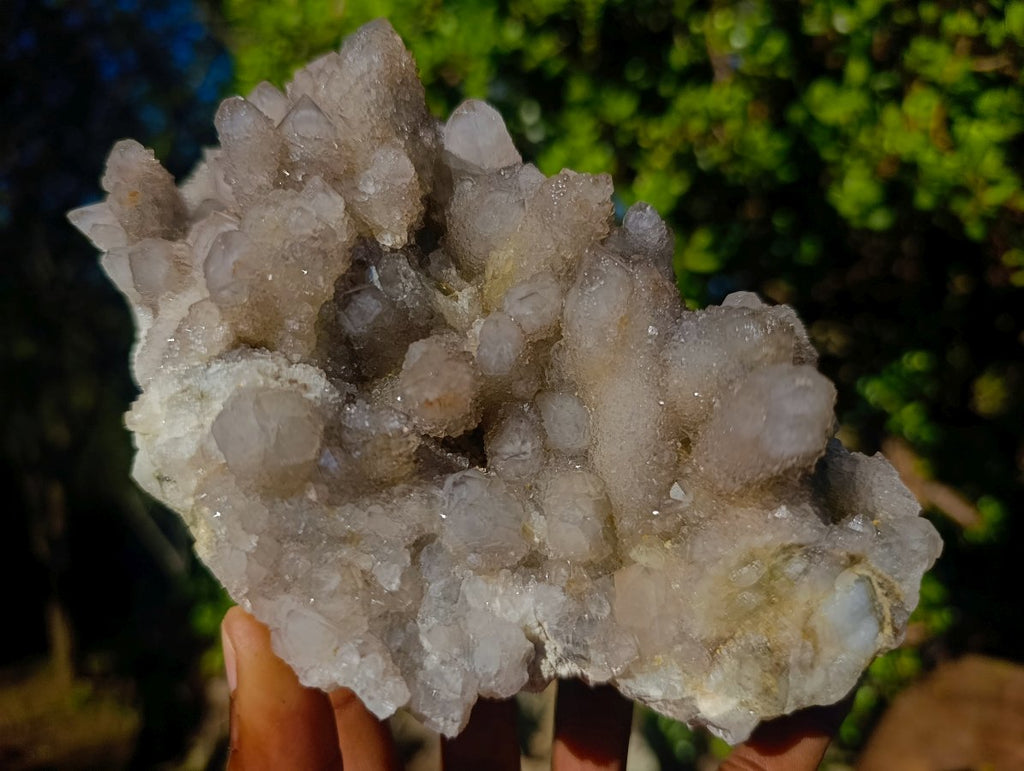 Natural Cabinet Sized Smokey Spirit Quartz Clusters x 2 From Boekenhouthoek, South Africa - Toprock Gemstones and Minerals 