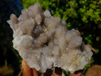 Natural Cabinet Sized Smokey Spirit Quartz Clusters x 2 From Boekenhouthoek, South Africa - Toprock Gemstones and Minerals 