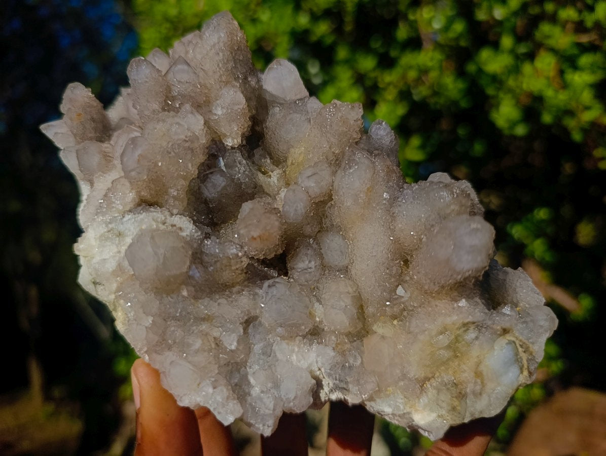 Natural Cabinet Sized Smokey Spirit Quartz Clusters x 2 From Boekenhouthoek, South Africa - Toprock Gemstones and Minerals 