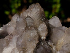 Natural Cabinet Sized Smokey Spirit Quartz Clusters x 2 From Boekenhouthoek, South Africa - Toprock Gemstones and Minerals 