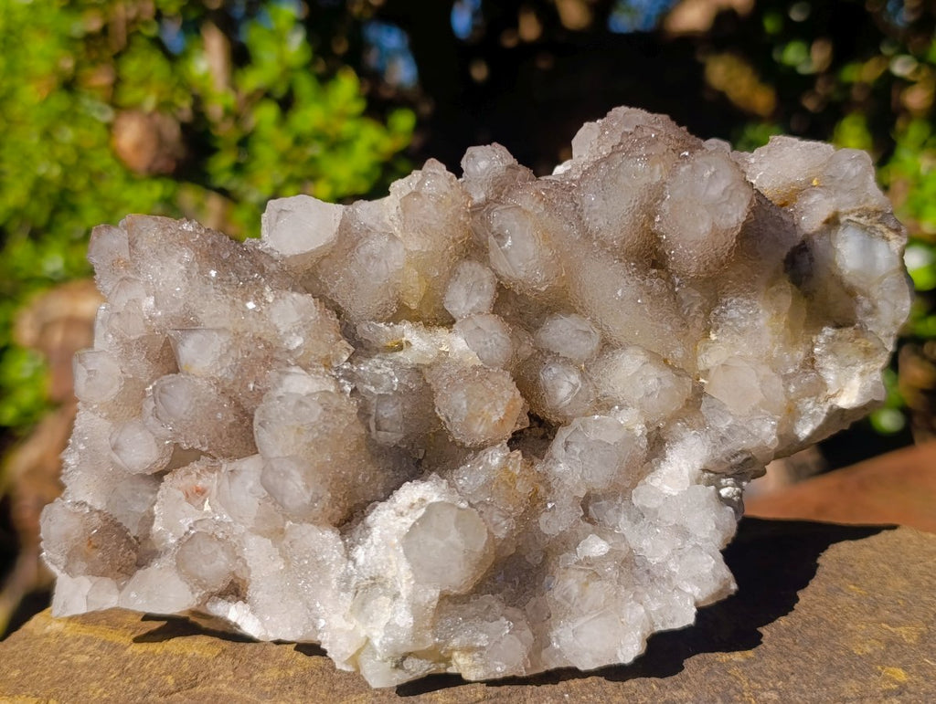 Natural Cabinet Sized Smokey Spirit Quartz Clusters x 2 From Boekenhouthoek, South Africa - Toprock Gemstones and Minerals 