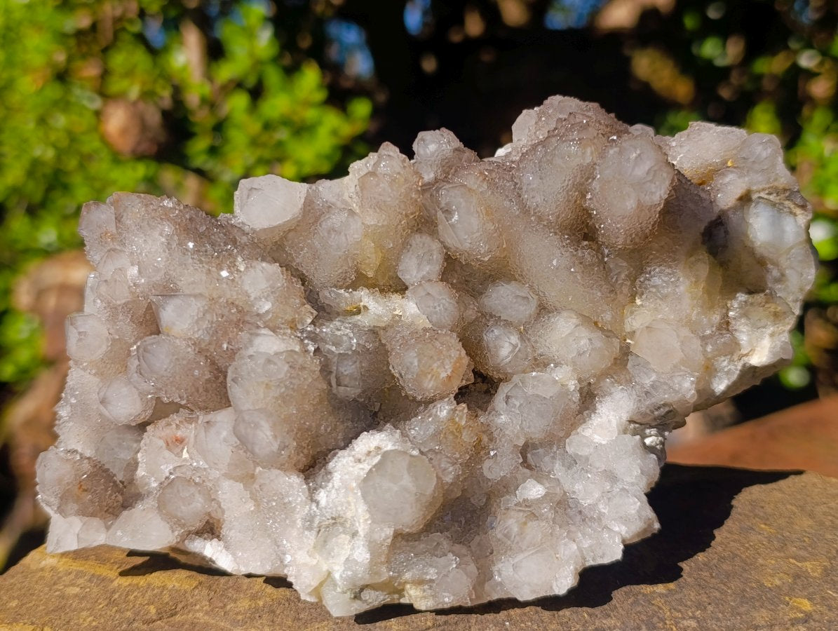 Natural Cabinet Sized Smokey Spirit Quartz Clusters x 2 From Boekenhouthoek, South Africa - Toprock Gemstones and Minerals 