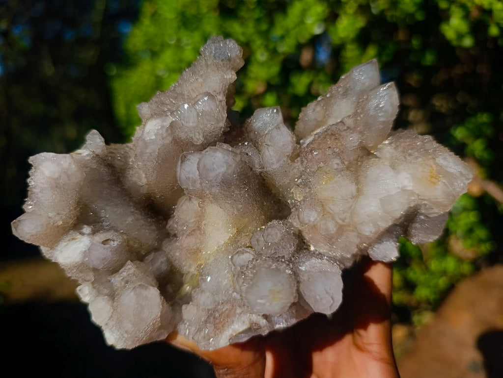 Natural Cabinet Sized Smokey Spirit Quartz Clusters x 2 From Boekenhouthoek, South Africa - Toprock Gemstones and Minerals 
