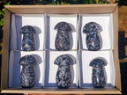 Polished Large Gabbro 'Merlinite' Mushrooms x 6 From Ambatofinandrahana, Madagascar - Toprock Gemstones and Minerals 