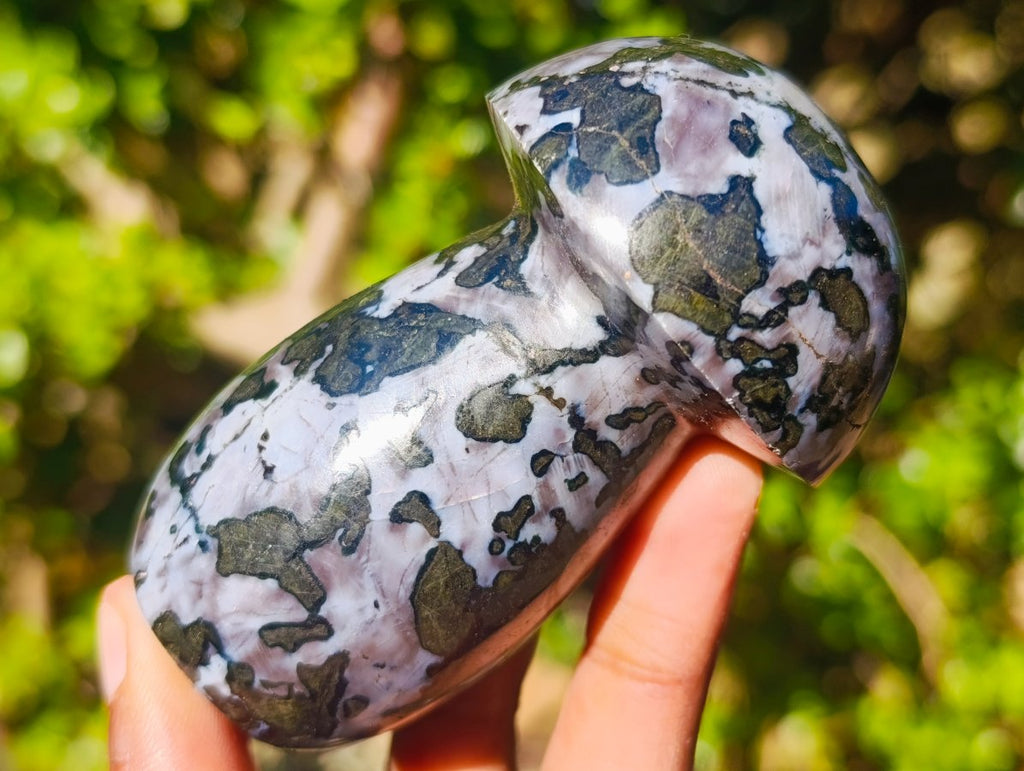 Polished Large Gabbro 'Merlinite' Mushrooms x 6 From Ambatofinandrahana, Madagascar - Toprock Gemstones and Minerals 