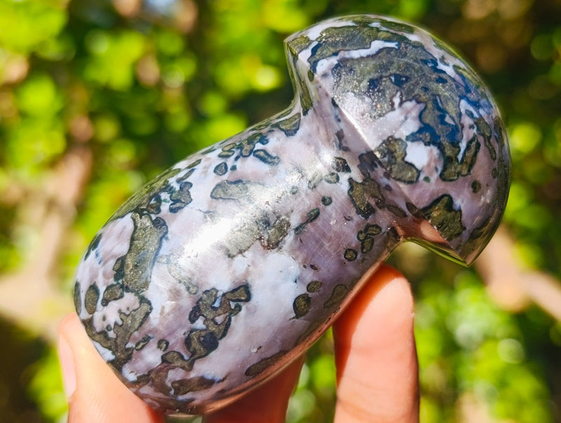 Polished Large Gabbro 'Merlinite' Mushrooms x 6 From Ambatofinandrahana, Madagascar - Toprock Gemstones and Minerals 