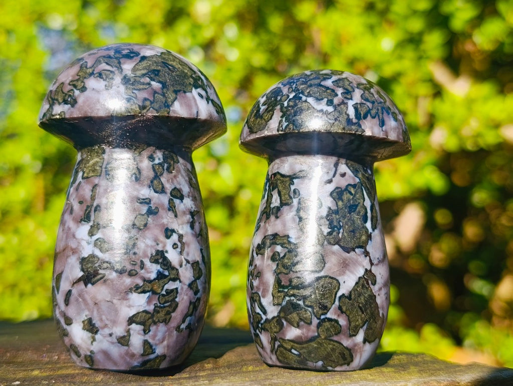 Polished Large Gabbro 'Merlinite' Mushrooms x 6 From Ambatofinandrahana, Madagascar - Toprock Gemstones and Minerals 