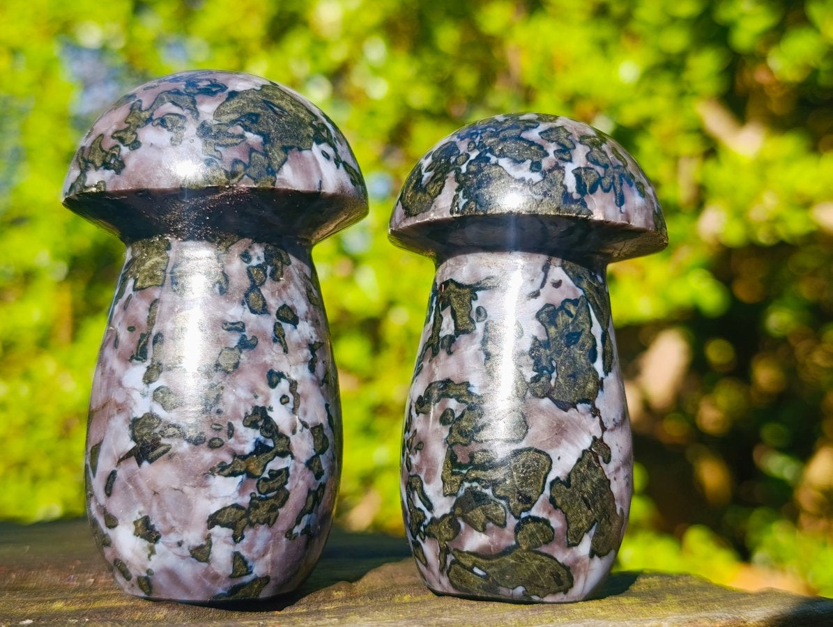 Polished Large Gabbro 'Merlinite' Mushrooms x 6 From Ambatofinandrahana, Madagascar - Toprock Gemstones and Minerals 