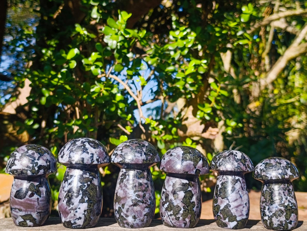 Polished Large Gabbro 'Merlinite' Mushrooms x 6 From Ambatofinandrahana, Madagascar - Toprock Gemstones and Minerals 