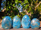 Polished Blue Apatite Standing Display Pieces x 4 From Betroka, Madagascar - Toprock Gemstones and Minerals 