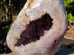 Polished XXL Agate Amethyst Geode x 1 From Maintirano, Madagascar - Toprock Gemstones and Minerals 