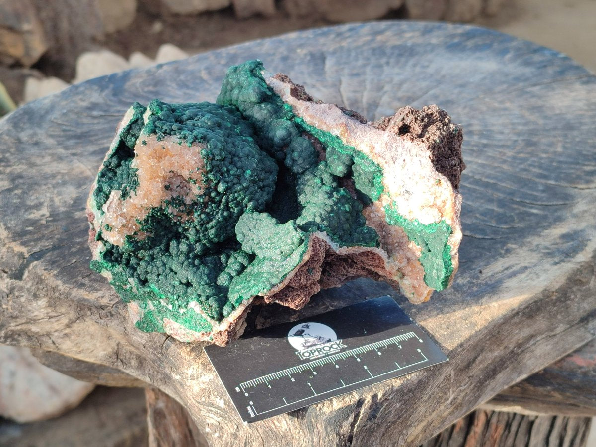 Natural Large Ball Malachite Specimens with Drusy Quartz on Dolomite x 1 From Mindingi Mine, Kambove, Congo - Toprock Gemstones and Minerals 