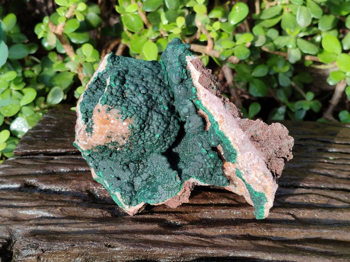 Natural Large Ball Malachite Specimens with Drusy Quartz on Dolomite x 1 From Mindingi Mine, Kambove, Congo - Toprock Gemstones and Minerals 