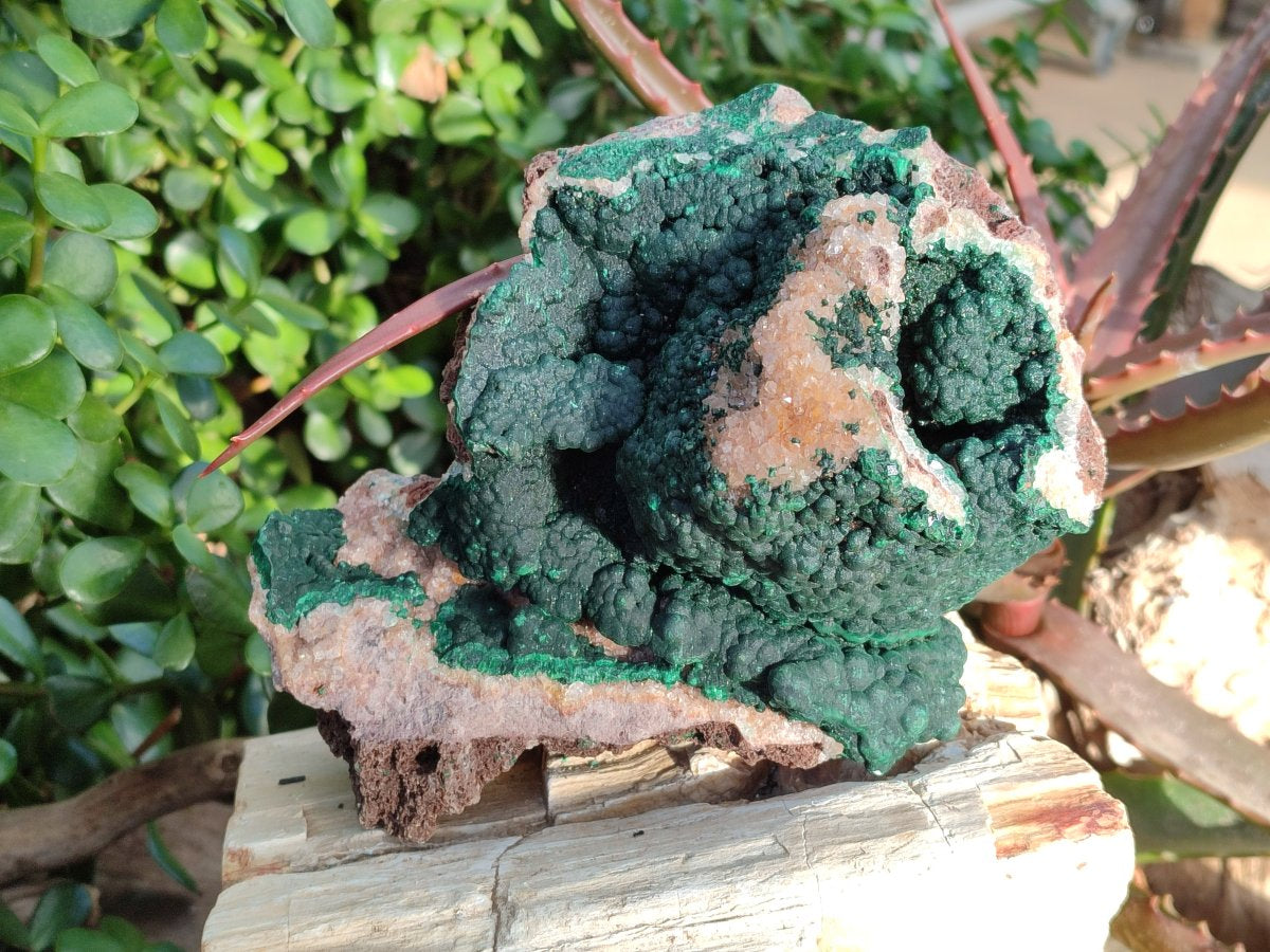 Natural Large Ball Malachite Specimens with Drusy Quartz on Dolomite x 1 From Mindingi Mine, Kambove, Congo - Toprock Gemstones and Minerals 