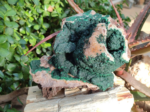 Natural Large Ball Malachite Specimens with Drusy Quartz on Dolomite x 1 From Mindingi Mine, Kambove, Congo - Toprock Gemstones and Minerals 